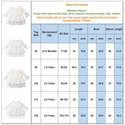 Velvet Christmas Lace Dress